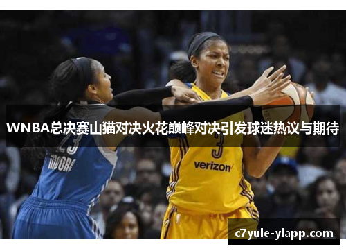 WNBA总决赛山猫对决火花巅峰对决引发球迷热议与期待